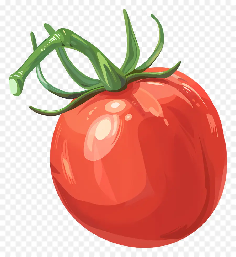 Tomate，Tomate Rojo PNG