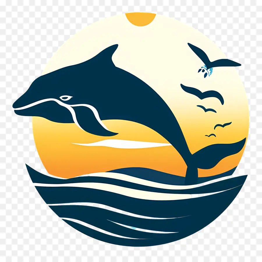 La Observación De Ballenas，Delfín PNG