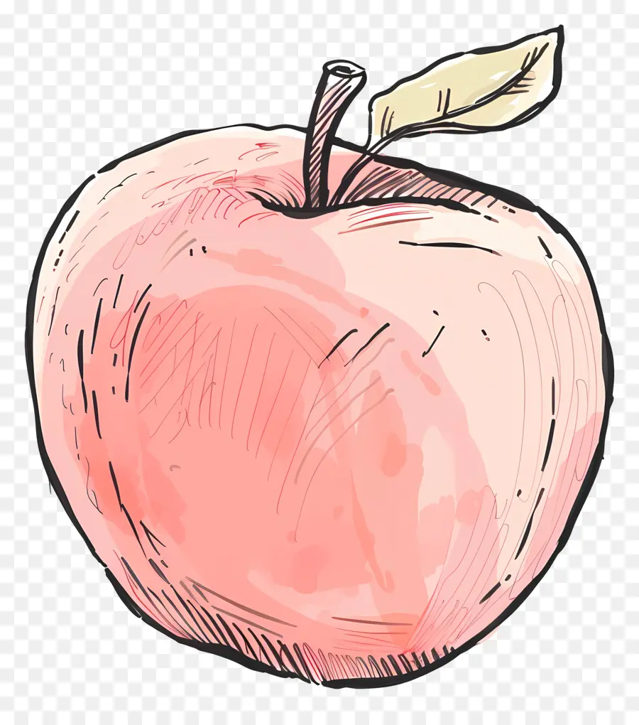 Lindo Apple，Apple PNG