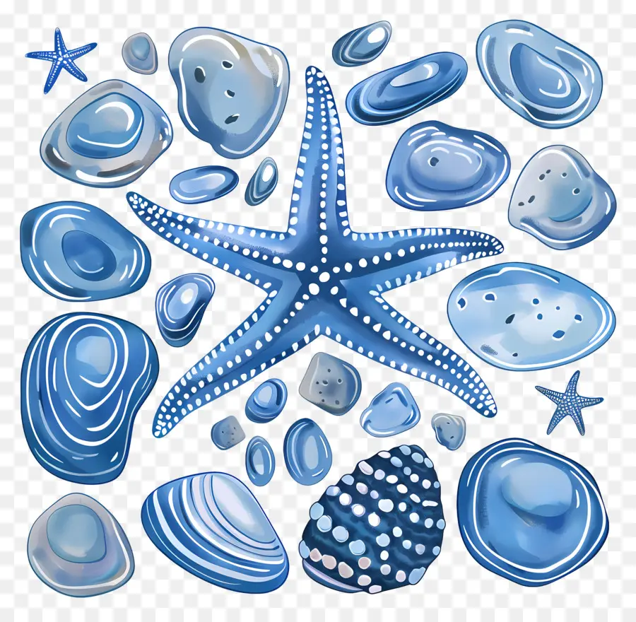 Guijarros，Estrella De Mar Azul PNG