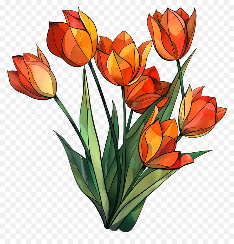 Los Tulipanes，Tulipanes Rojos PNG