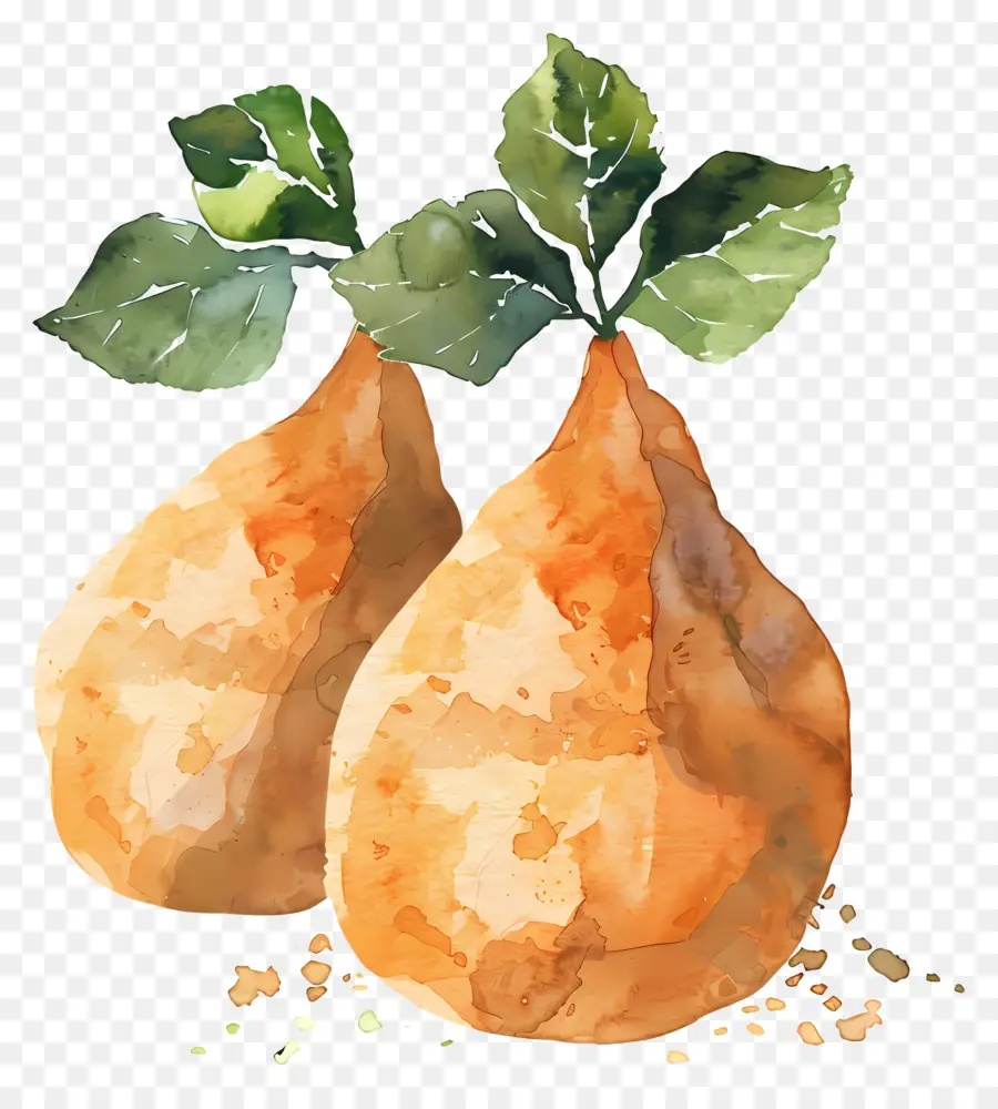 Batata，Peras PNG