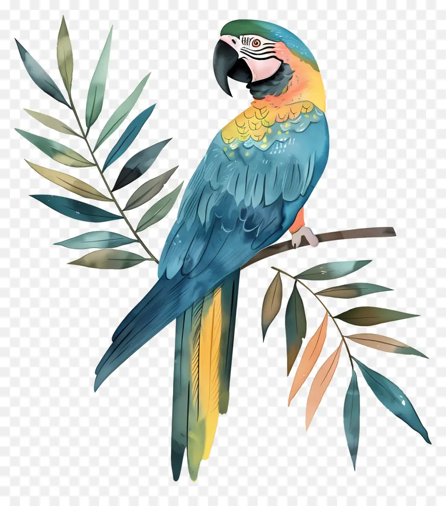 Guacamayo，Loro Colorido PNG