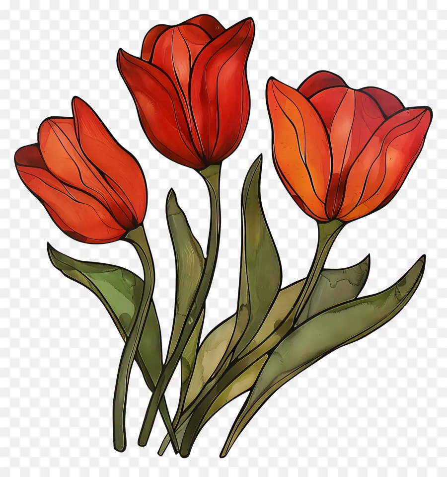 Los Tulipanes，Tulipanes Rojos PNG