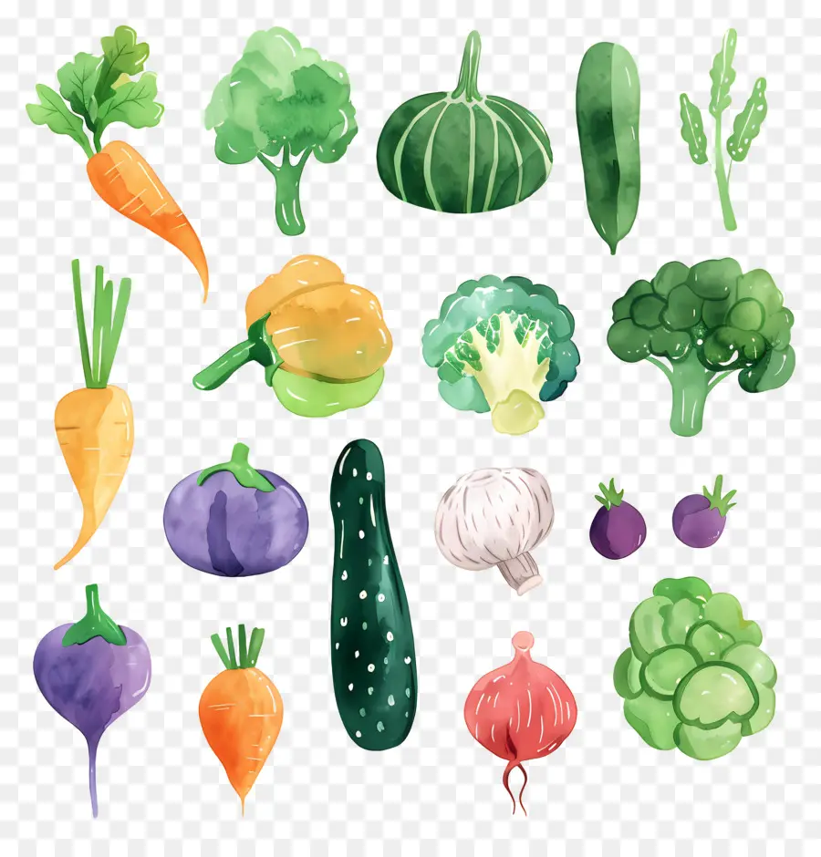 Verduras，Ilustraciones A La Acuarela PNG