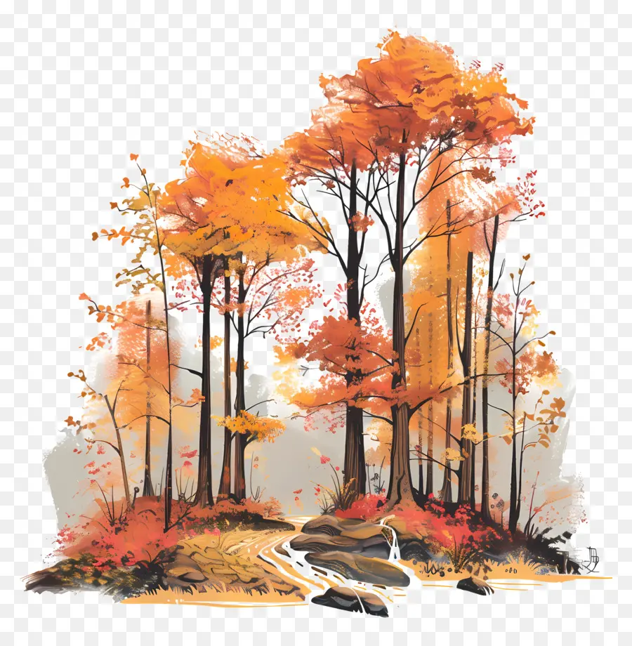Autumn Forest，Follaje De Otoño PNG