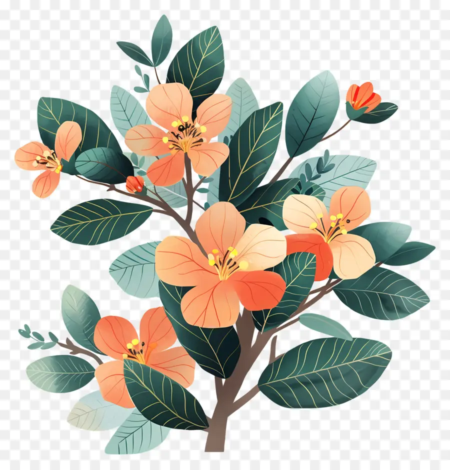 Arbusto，Flores De Color Naranja PNG