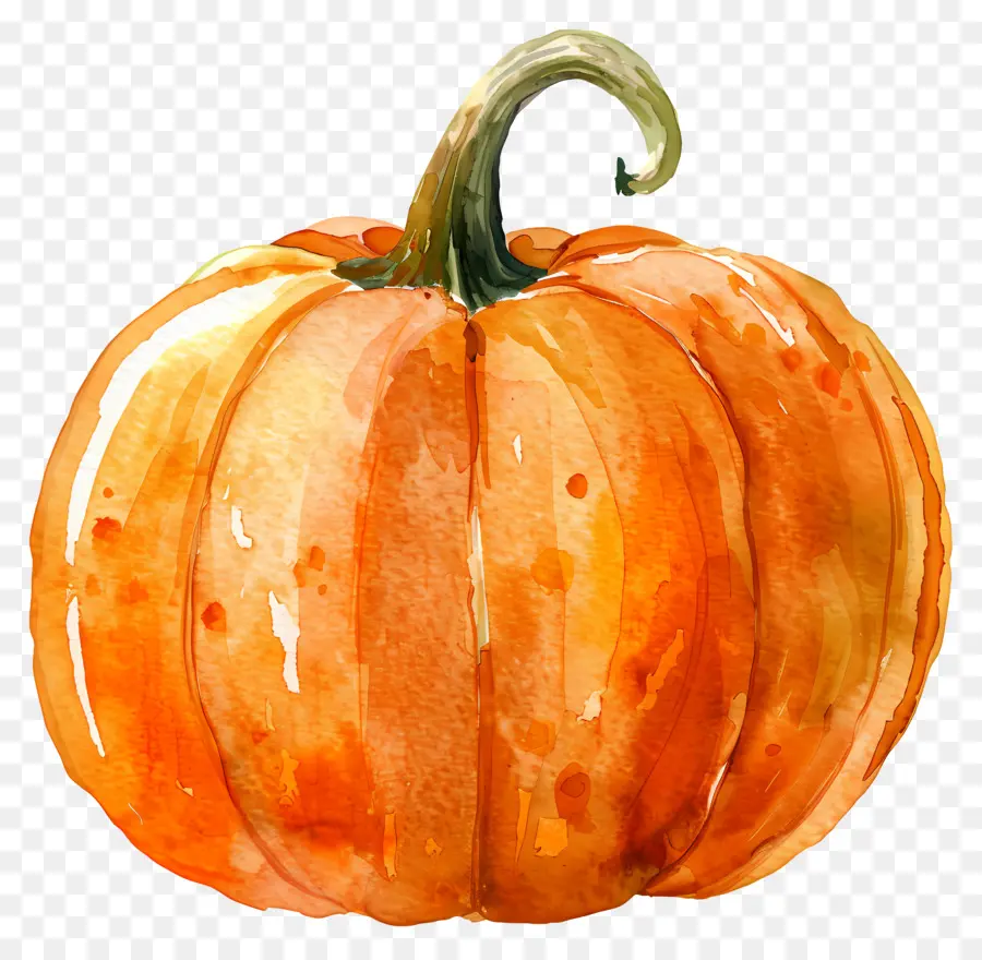 Calabaza，Pintura A La Acuarela PNG