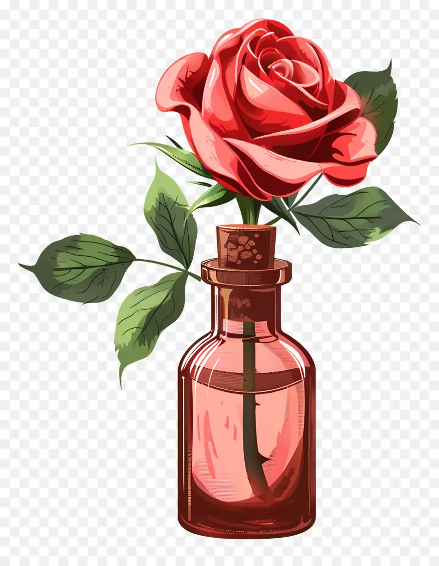 El Aceite De Rosa，Rosas Rojas PNG