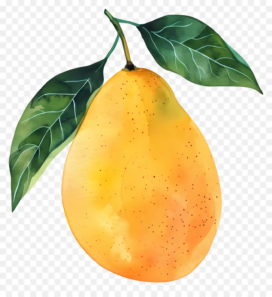 Mango，Melocotón PNG