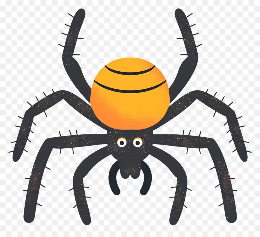 Araña De Halloween，Araña PNG