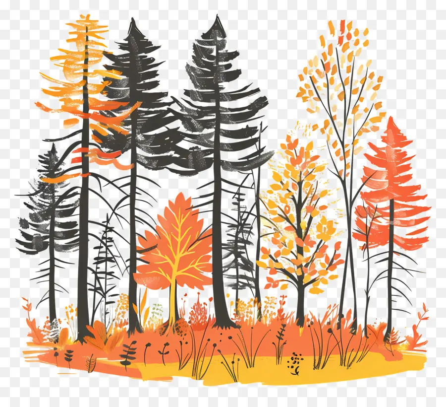 Bosque De Otoño，Árboles Estilizados PNG