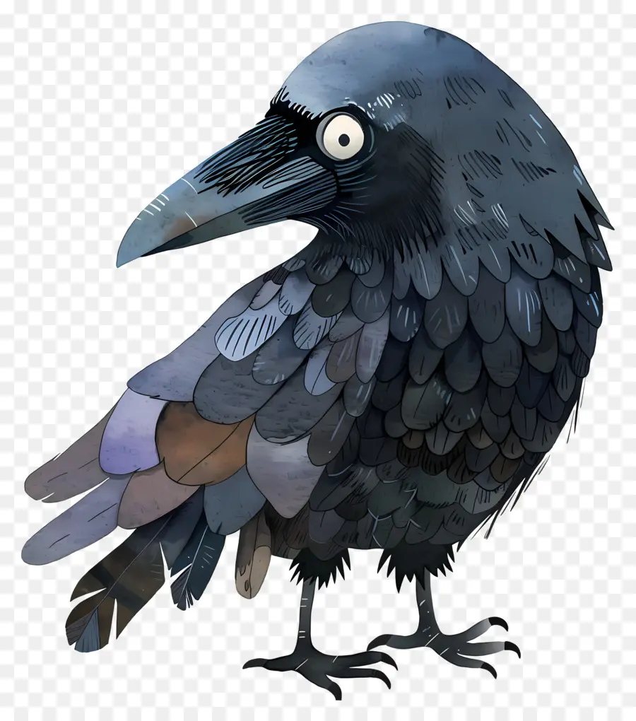 Raven De Dibujos Animados，Pájaro Negro PNG
