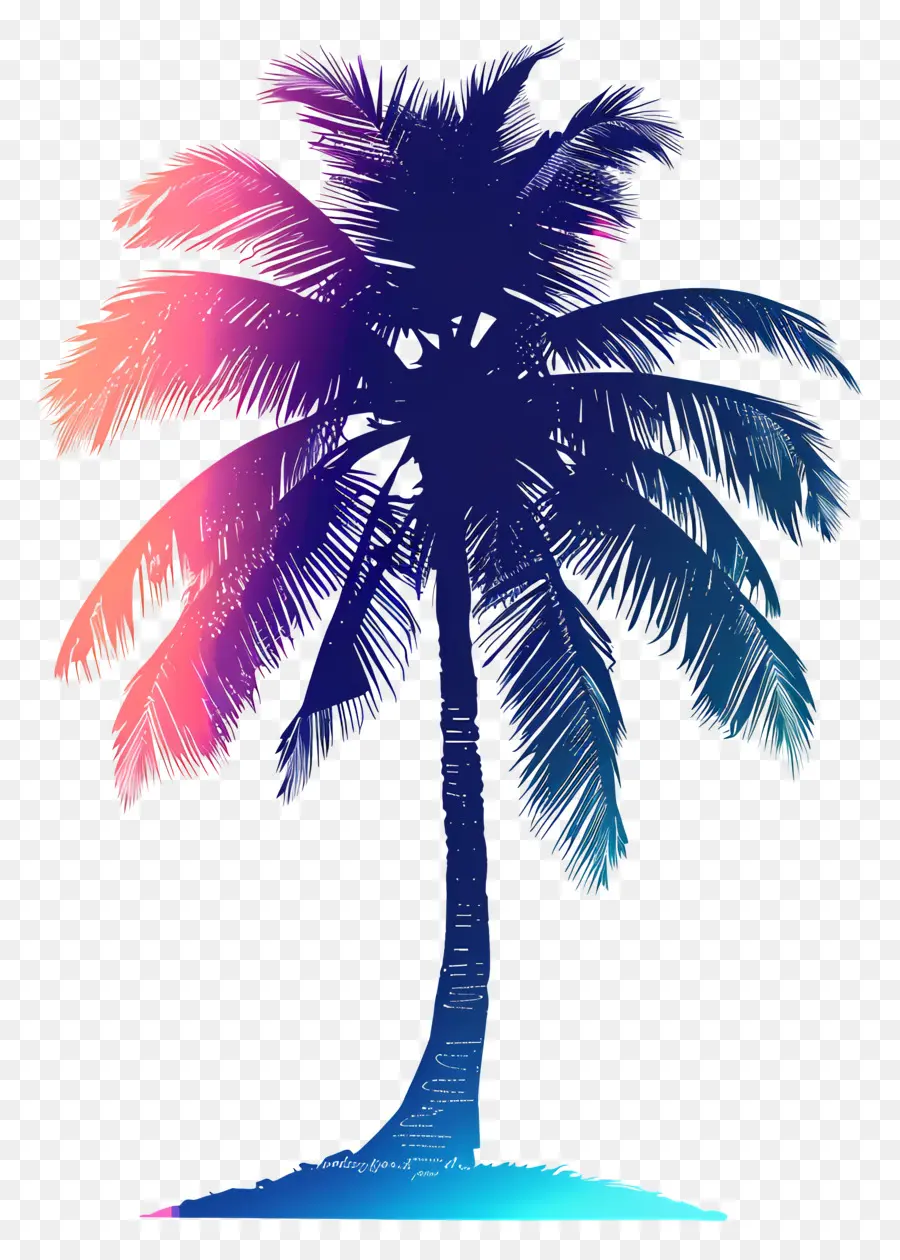 Silueta De Palmera，Palmera Colorida PNG