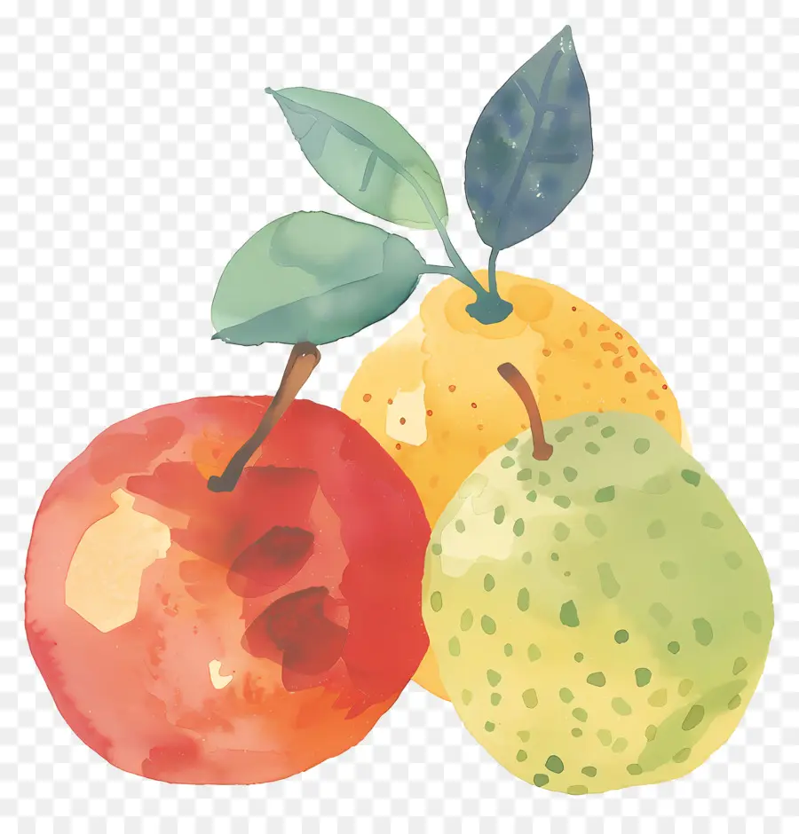 Frutas，Pintura A La Acuarela PNG