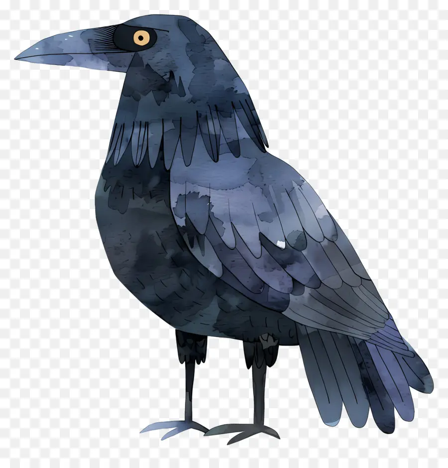 Raven De Dibujos Animados，Cuervo PNG