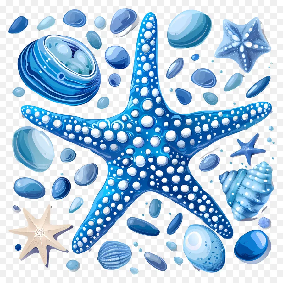 Guijarros，Estrella De Mar Azul PNG