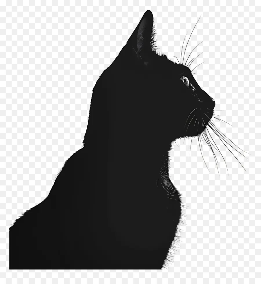 Silueta De Gato，Gato Negro PNG