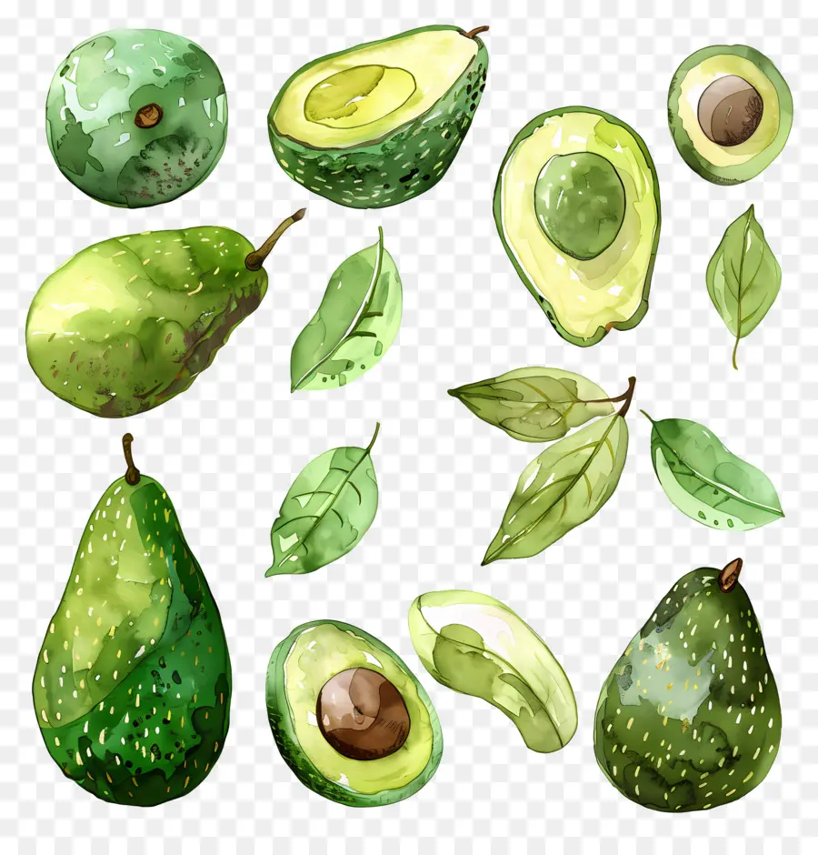 Palta，Aguacates PNG