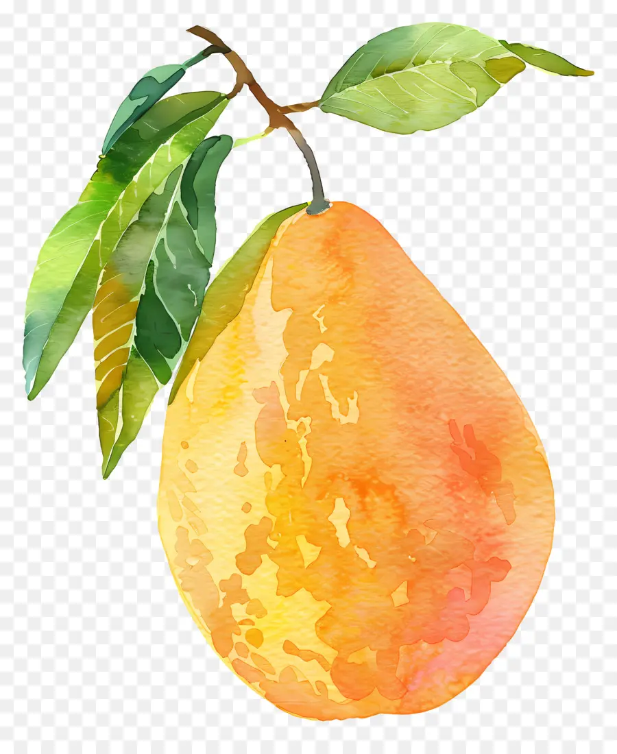 Mango，Melocotón Fruta PNG