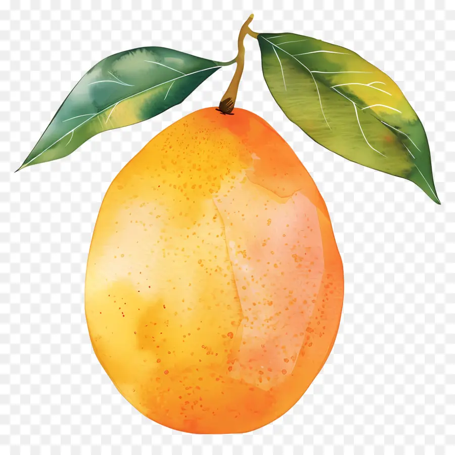 Mango，Limón PNG