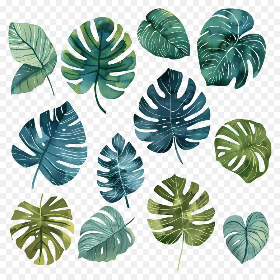 Monstera，El Arte De La Acuarela PNG