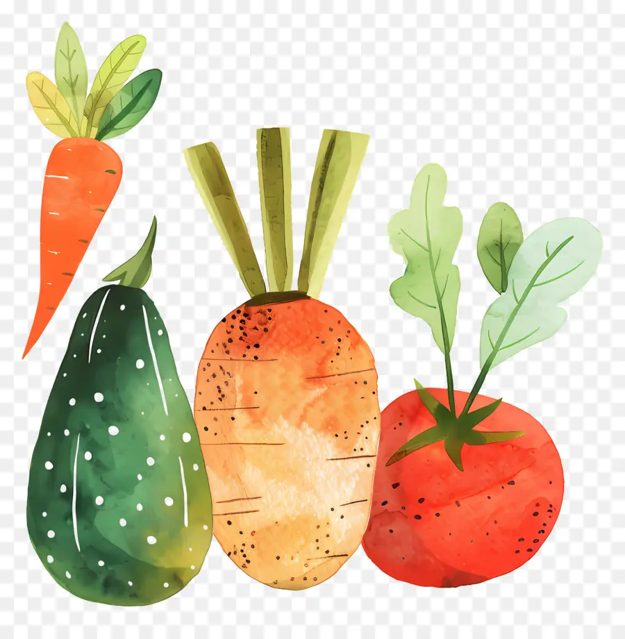 Verduras，Pintura A La Acuarela PNG