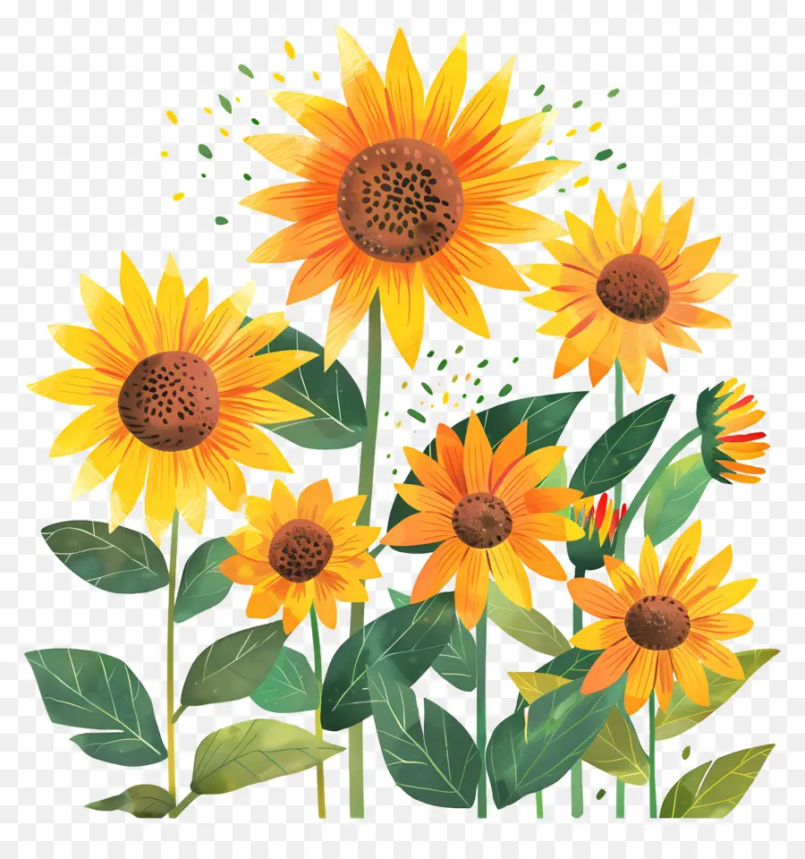 Girasol，Amarillo PNG