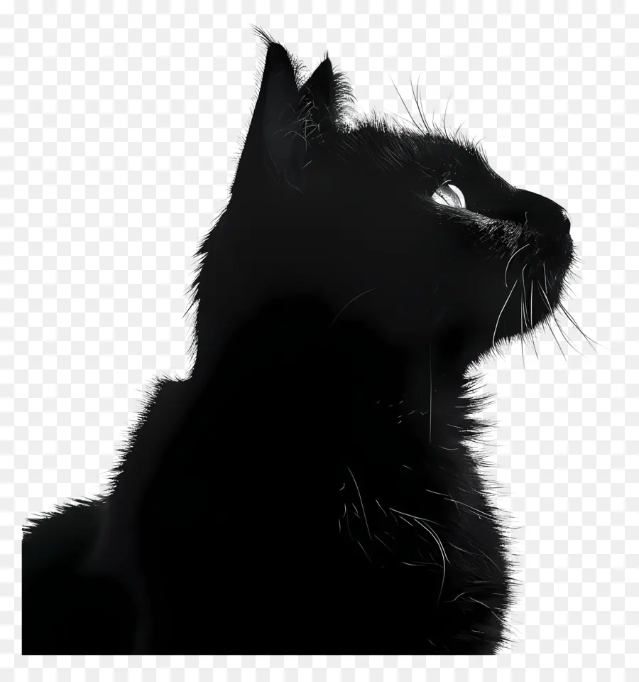 Silueta De Gato，Gato Negro PNG