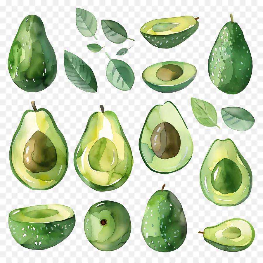 Aguacate，Acuarela PNG