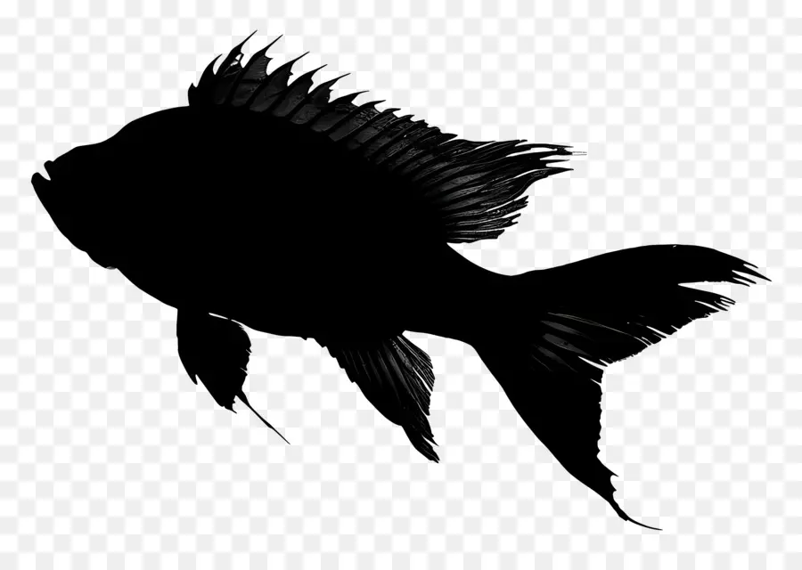 La Silueta De Los Peces，Negro Y Blanco De Pescado PNG