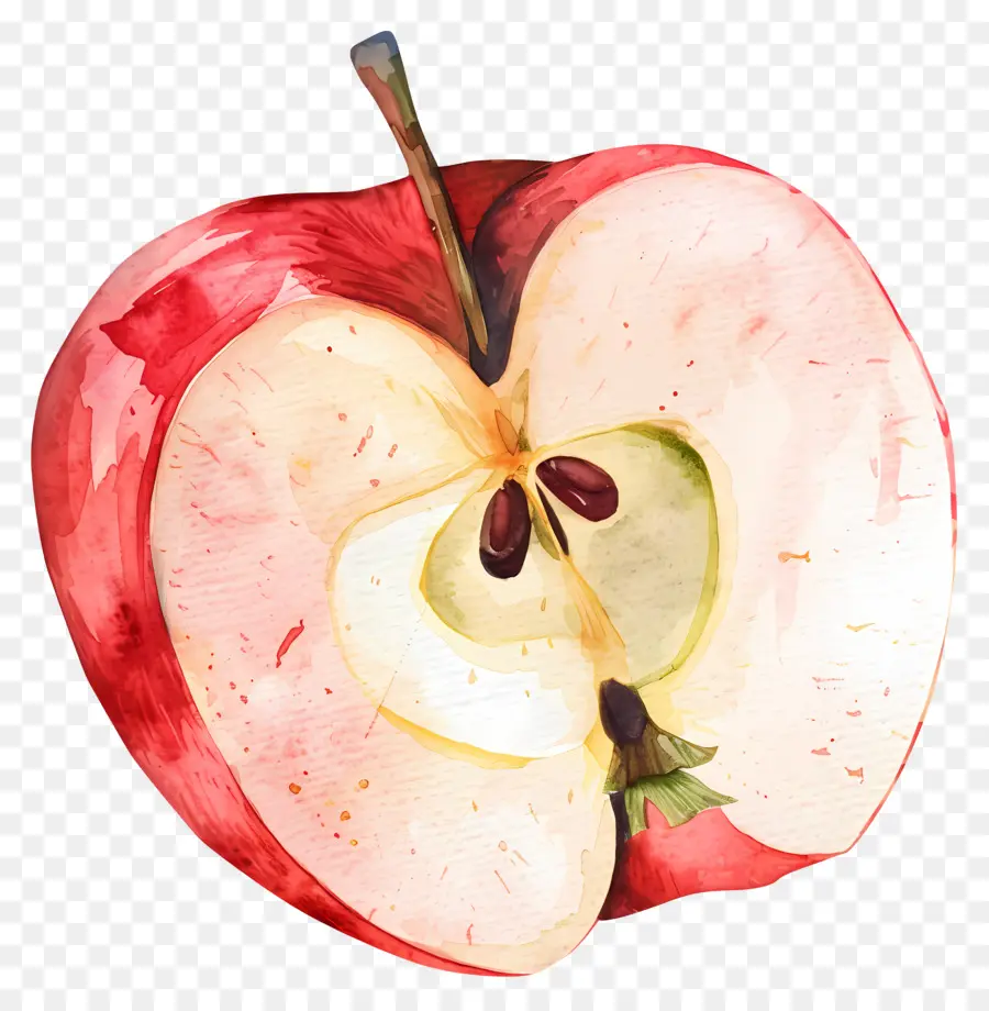 Rodaja De Manzana，Manzana PNG