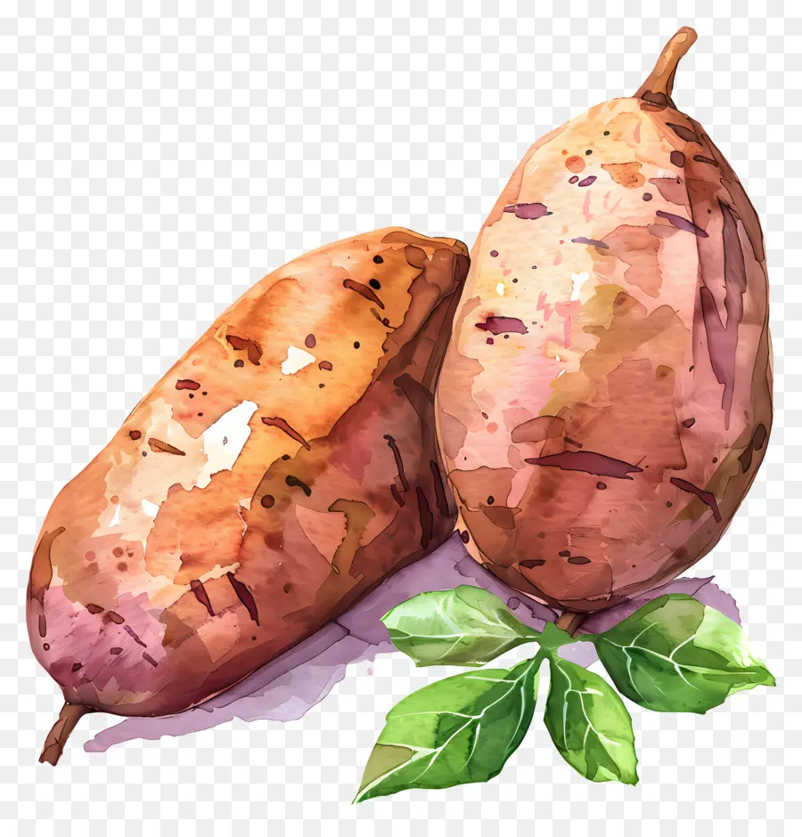 Batata，Batatas PNG