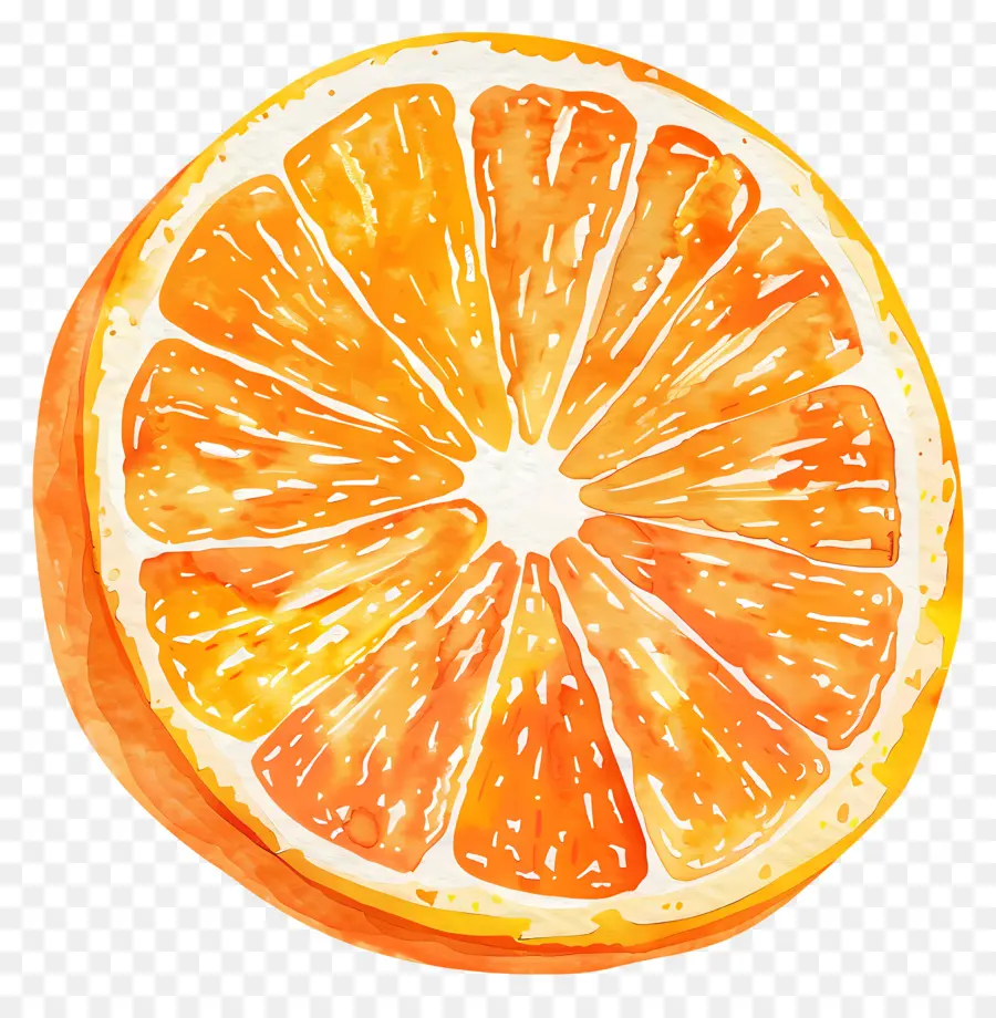 Rodaja De Naranja，Agrios PNG