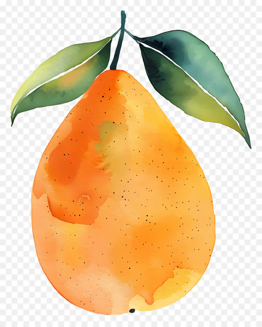 Mango，Pera PNG