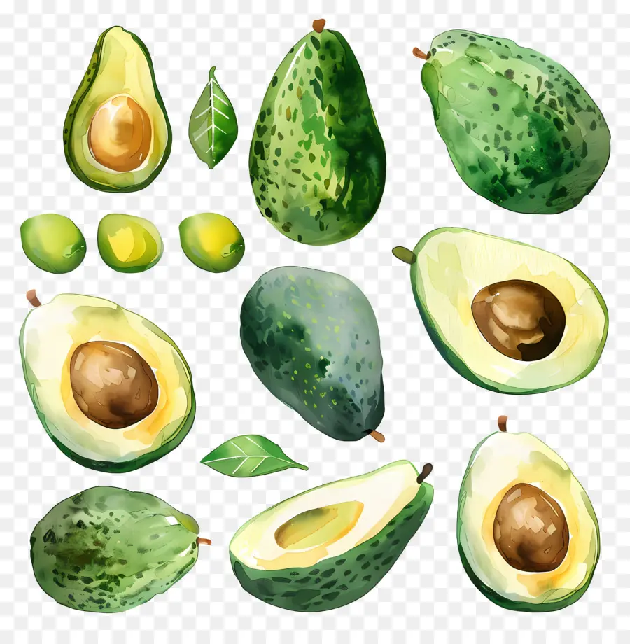 Aguacate，Pintura A La Acuarela PNG