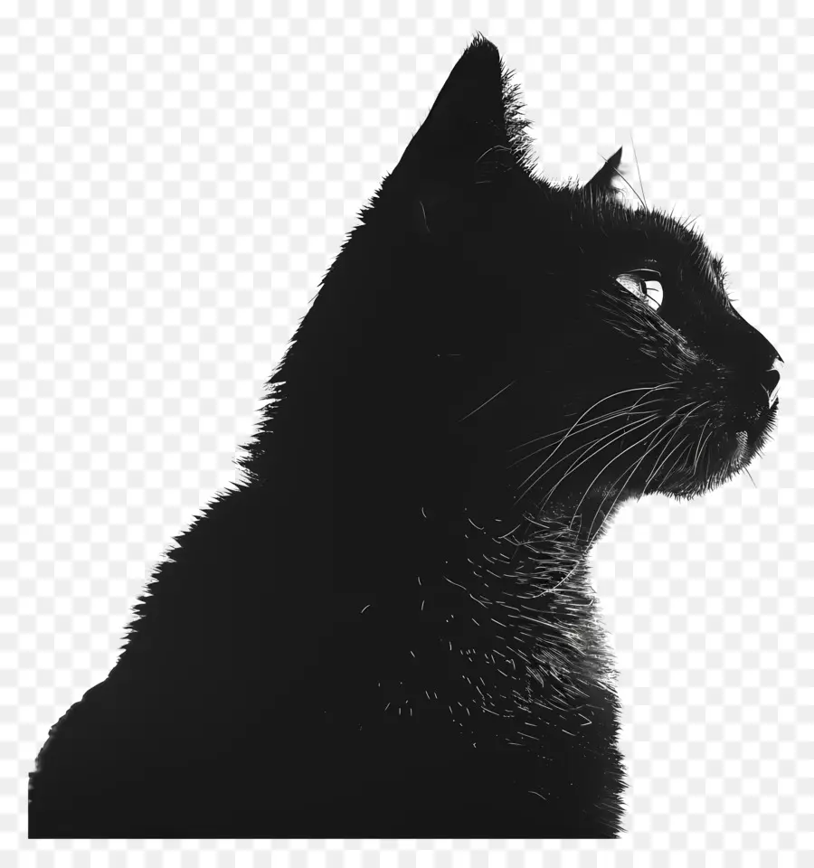 Silueta De Gato，Gato PNG