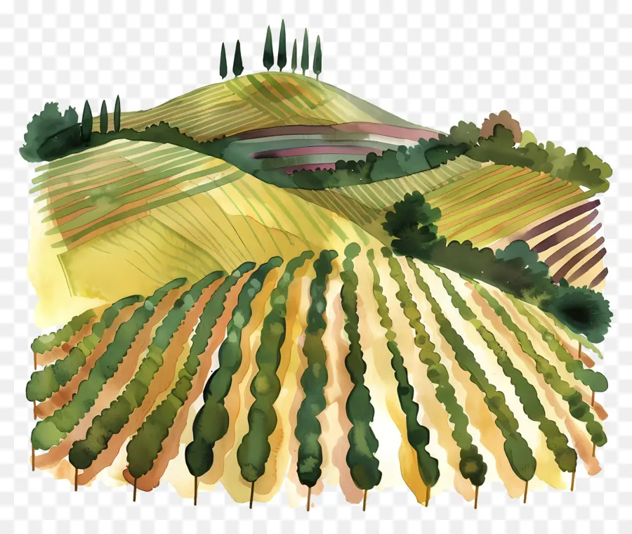 Viña，La Pintura De Paisaje PNG