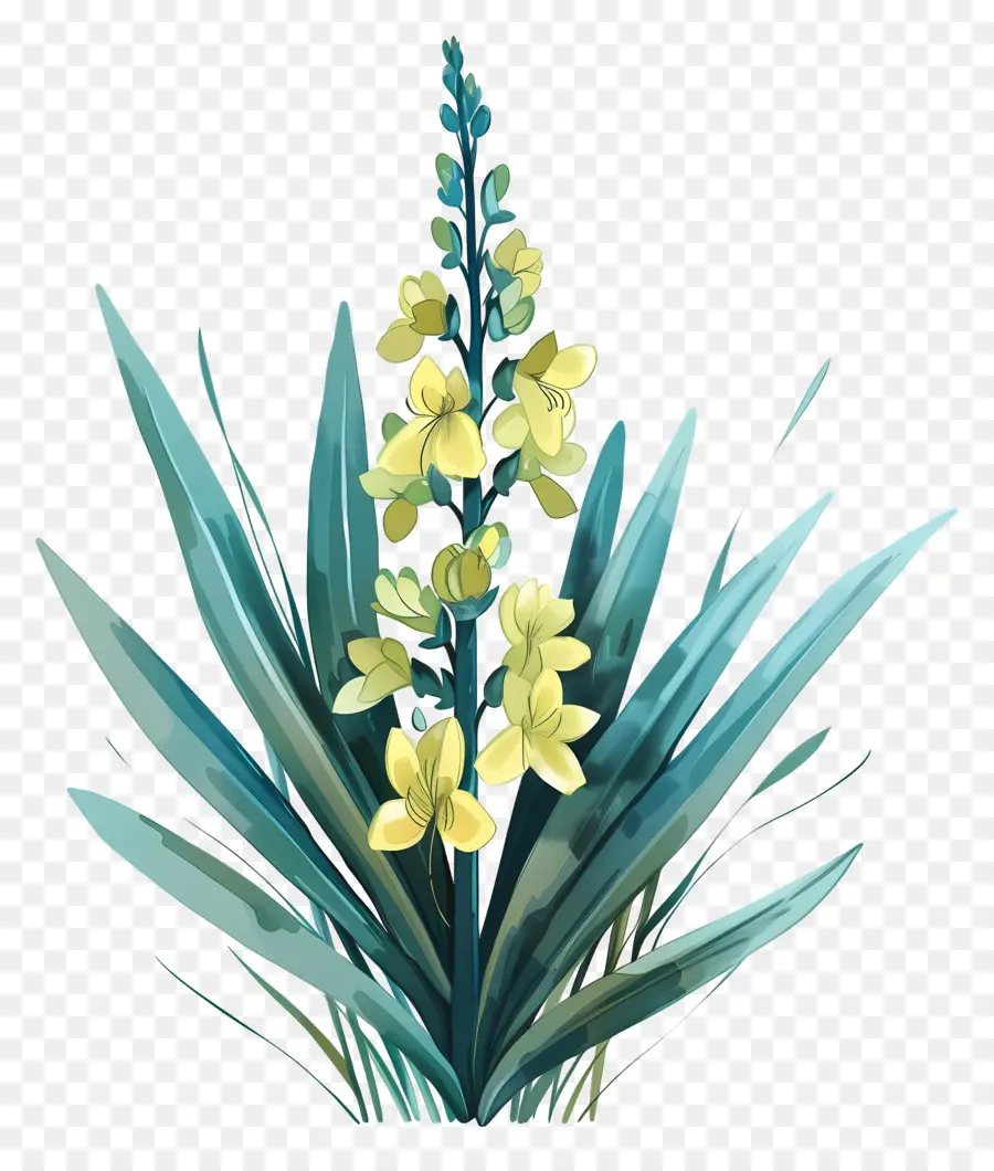 Yuca，Flor Amarilla PNG