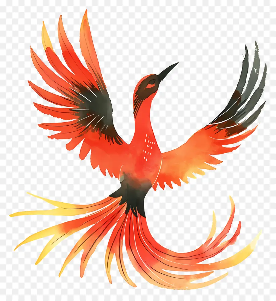 Phoenix，Pájaro Rojo PNG