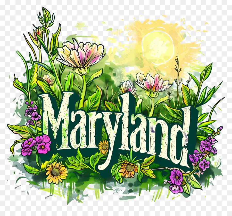 Maryland，Manuscrita PNG