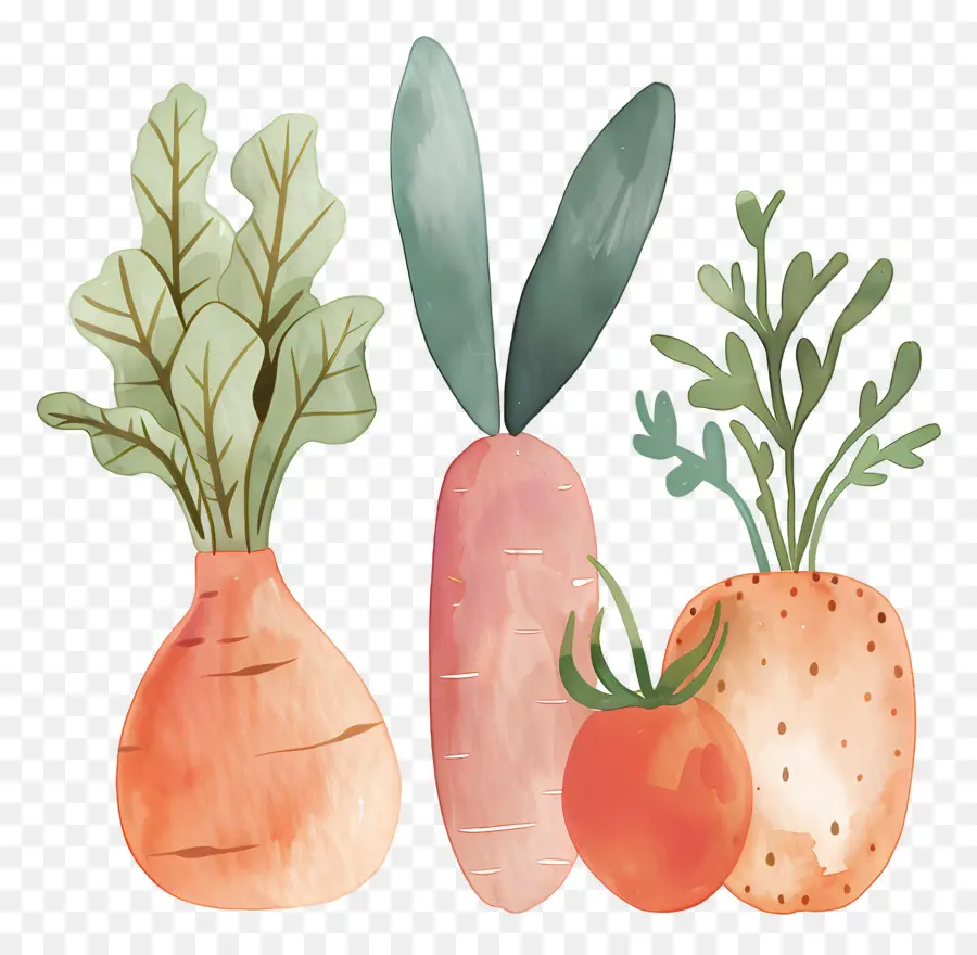 Verduras，Zanahoria PNG