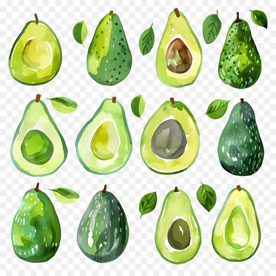 Aguacate，Ilustración Acuarela PNG