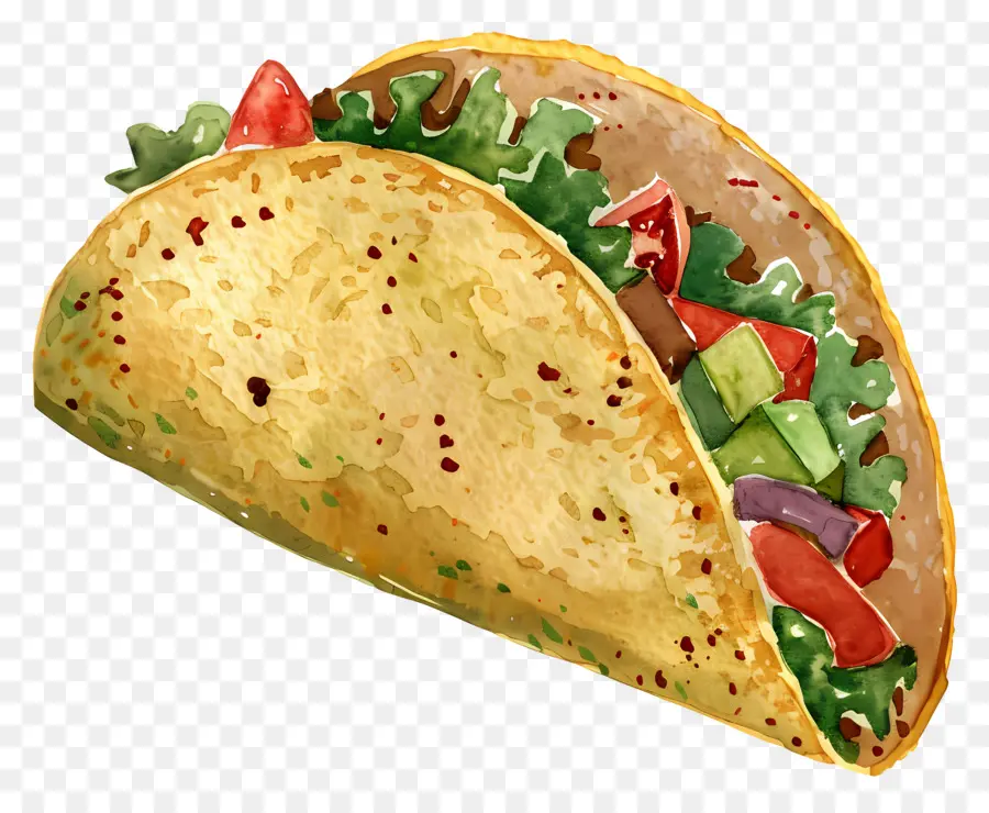 Taco，Pintura A La Acuarela PNG