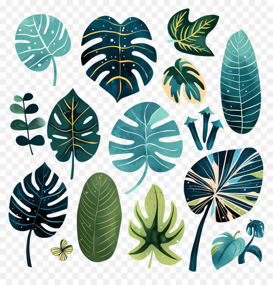 Monstera，Tropical Hojas PNG