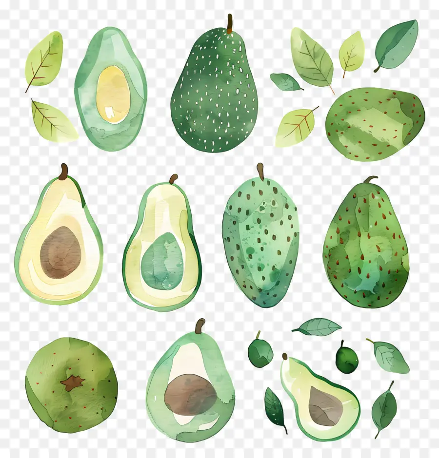 Palta，Aguacates PNG