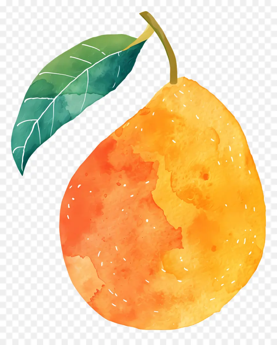 Mango，Naranja Madura PNG