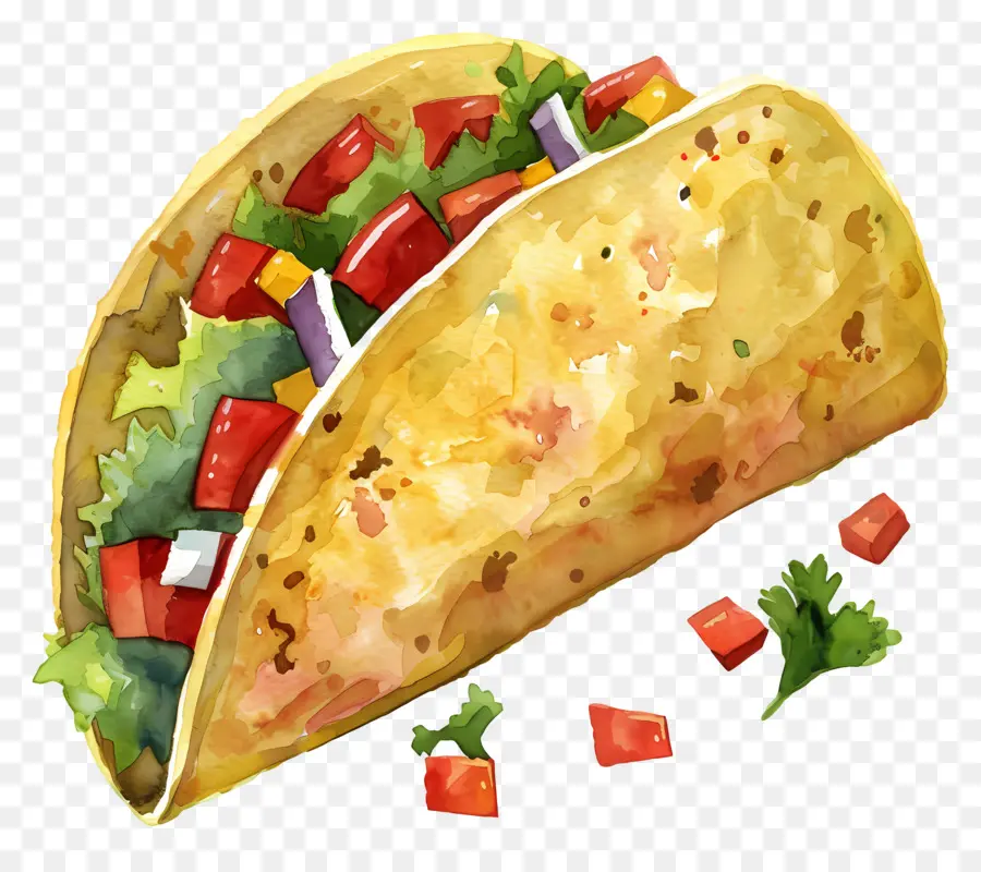 Taco，Pintura A La Acuarela PNG