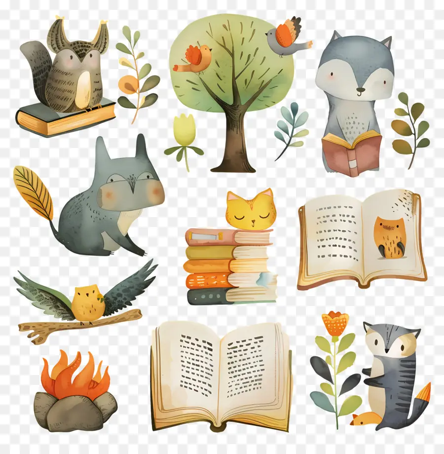 Libro，Libros PNG