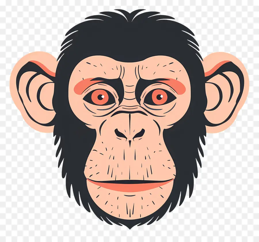 Cabeza De Mono，Chimpancé PNG